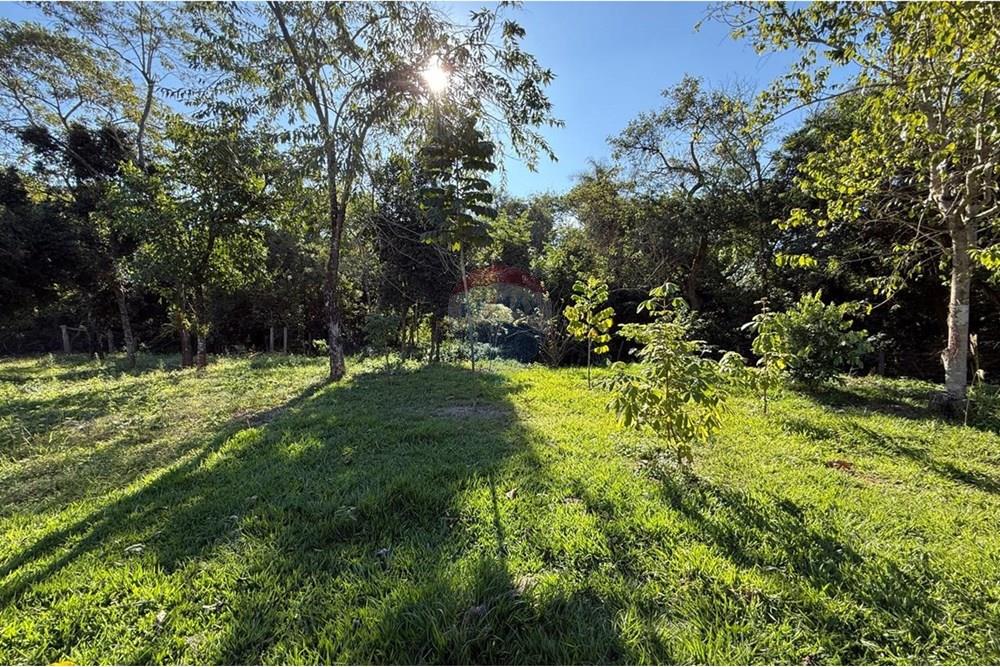 Chácara / Sítio / Fazenda - Venda - Itapira , São Paulo - WhatsApp Image 2025-06-03 at 18.53.17.jpeg - Jardim Externo - 690521014-122