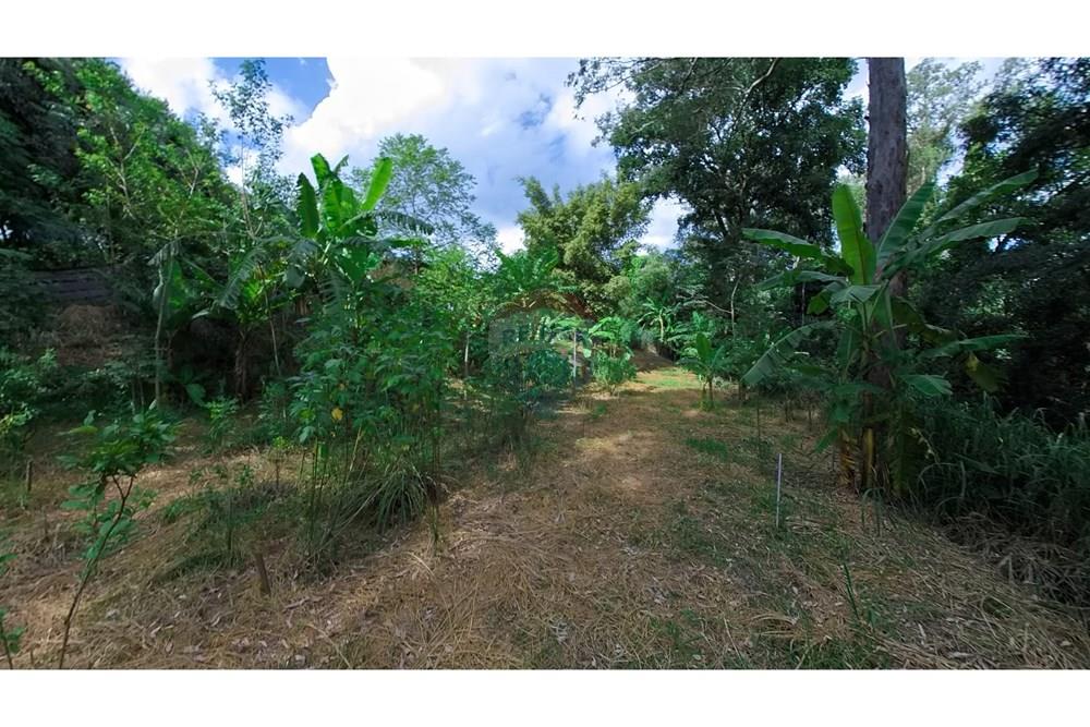 Chácara / Sítio / Fazenda - Venda - Araras , São Paulo - IMG_20250115_160545_00_391_PureShot.jpg - 690691016-236