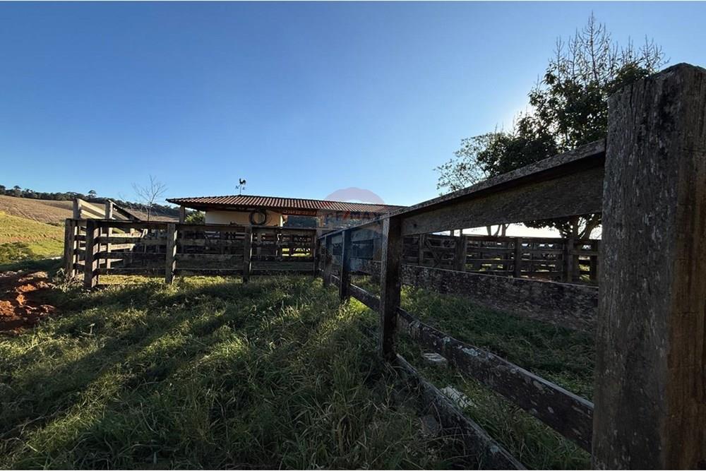 Fazenda - Venda - Socorro , São Paulo - WhatsApp Image 2025-06-30 at 17.04.06 (32).jpeg - 690521014-114