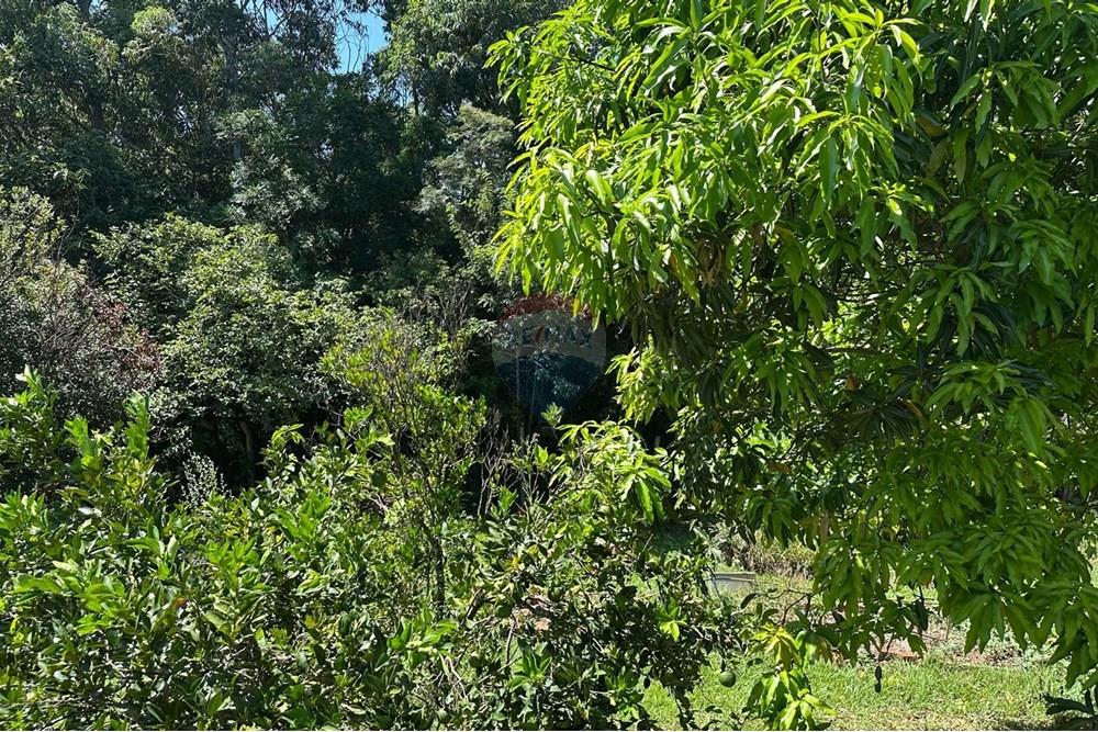 Casa - Venda - Jundiaí , São Paulo - 3eb043b2-d288-4244-aa81-8eedb5e52b62.jpg - 690801041-121