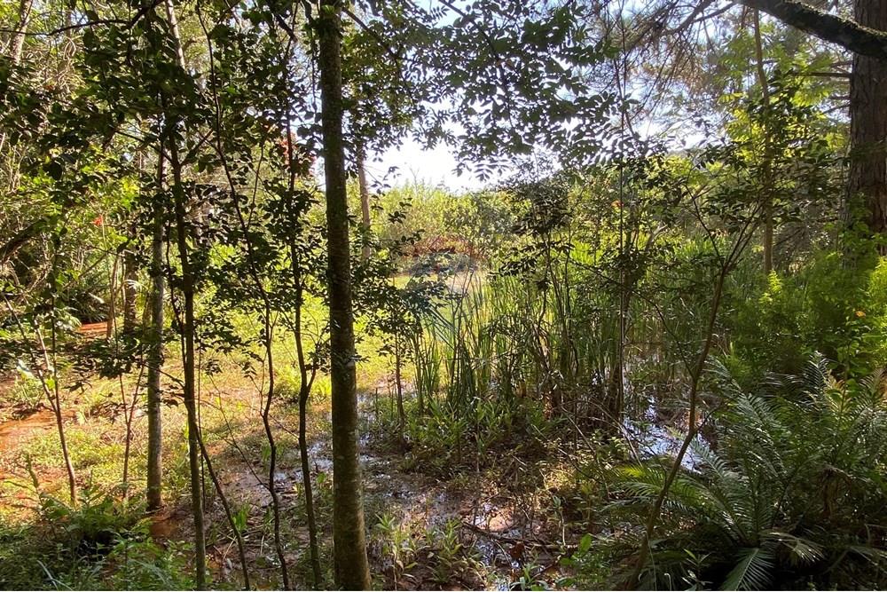 Chácara / Sítio / Fazenda - Venda - Jarinu , São Paulo - z15.JPEG - 691121002-11