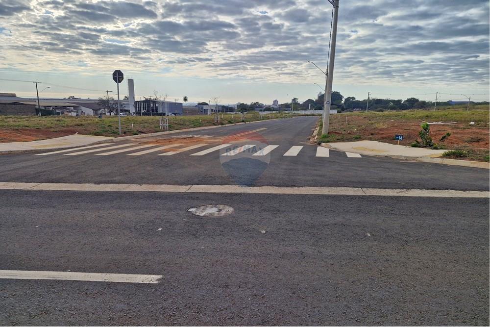 Terreno - Venda - Mogi Mirim , São Paulo - 20250710_082824.jpg - 690751034-116