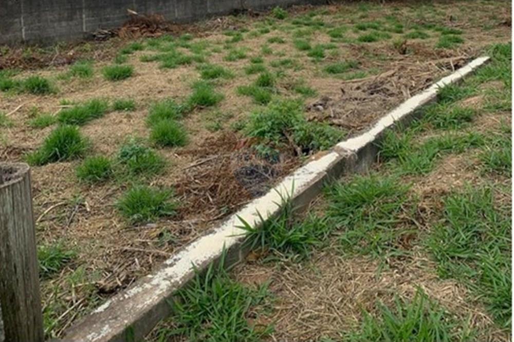 Terreno - Venda - Mogi Mirim , São Paulo - 47dc1247-3fe4-4f60-9d72-a04747d38a57.jpg - 690751048-120