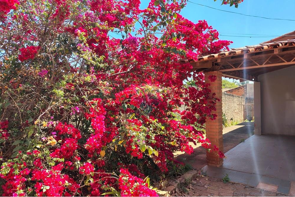 Chácara / Sítio / Fazenda - Venda - Cosmópolis , São Paulo - IMG_20250917_130343084_HDR-EDIT (2).jpg - 690511140-63