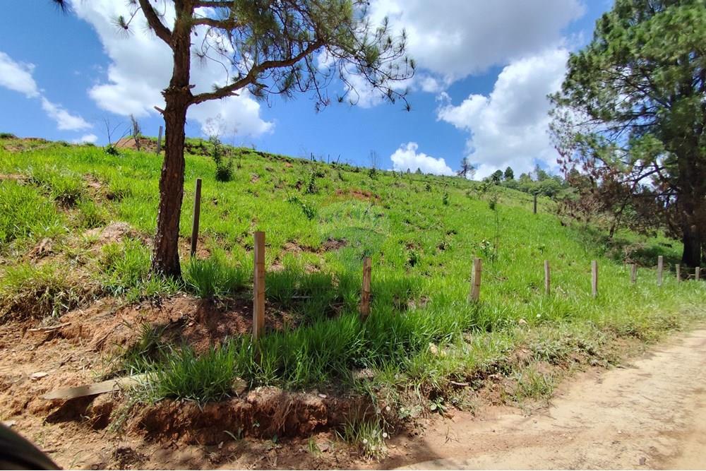 Terreno - Venda - Serra Negra , São Paulo - IMG_20241030_110726.jpg - 690291077-60