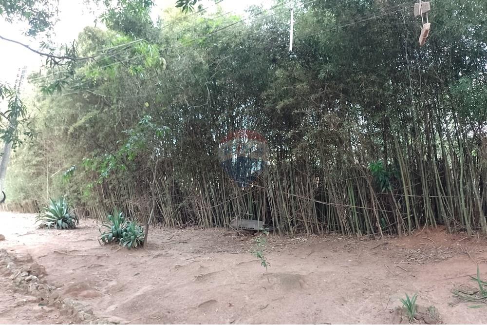 Terreno - Venda - Cosmópolis , São Paulo - fachada (25).jpg - Jardim Interno - 690831047-354