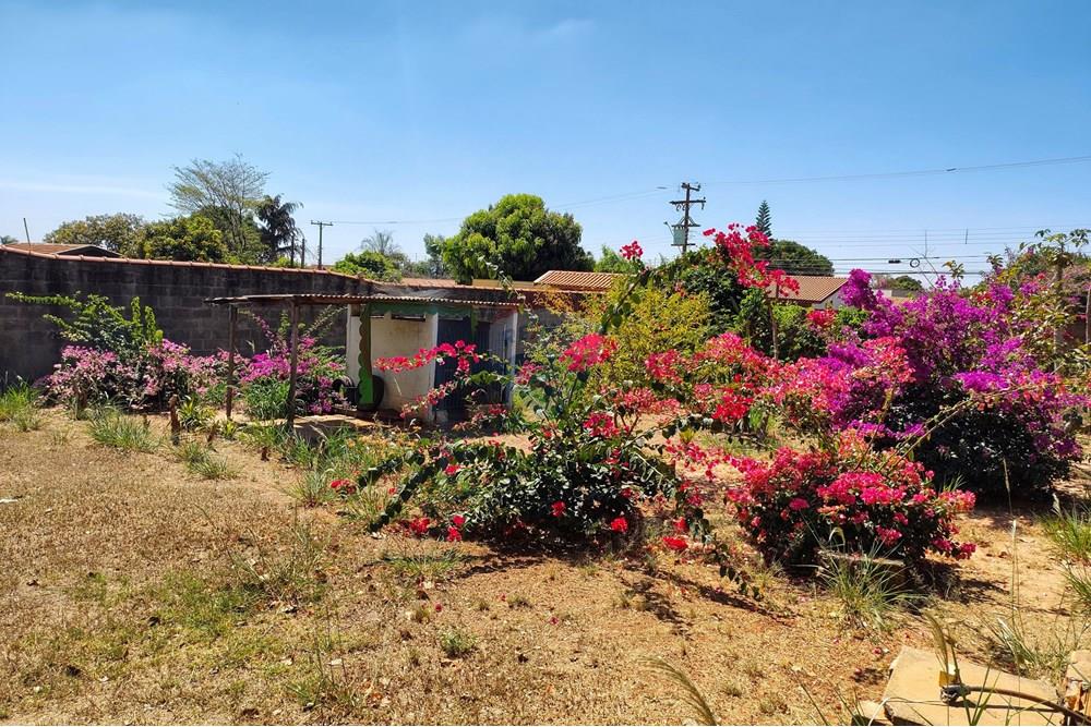 Chácara / Sítio / Fazenda - Venda - Cosmópolis , São Paulo - IMG_20250917_130442185_HDR-EDIT.jpg - 690511140-63