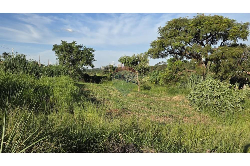 Terreno - Venda - Araraquara , São Paulo - Imagem do WhatsApp de 2025-02-27 à(s) 17.42.56_7d197777.jpg - 690151043-72