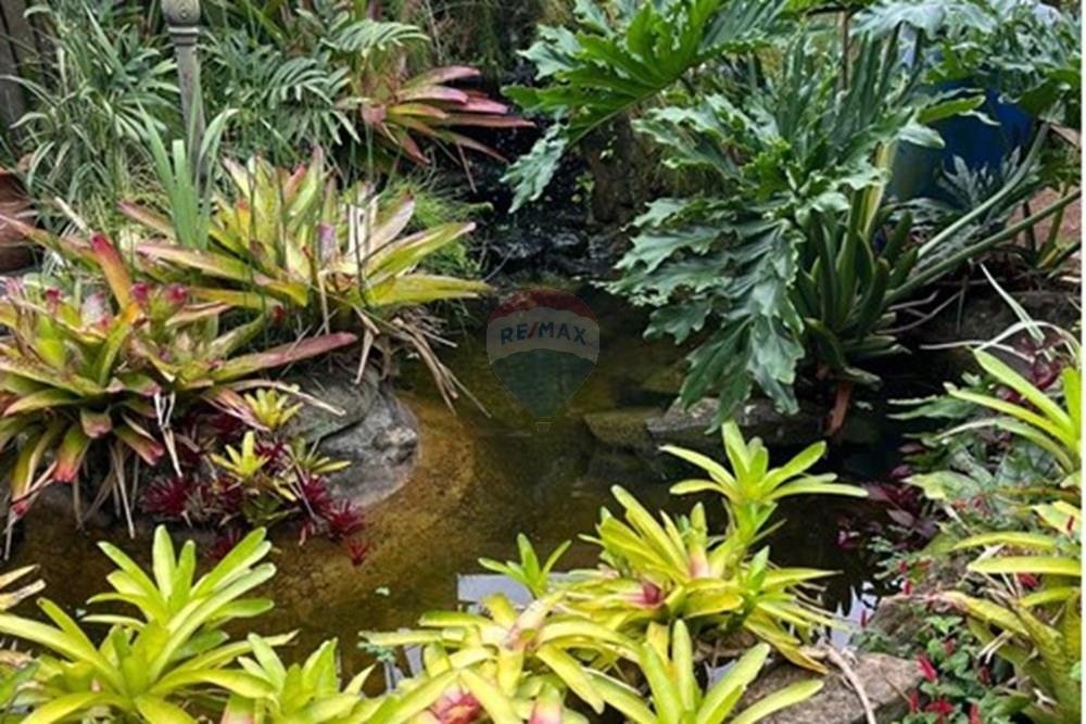 Casa Comercial - Alugar - Atibaia , São Paulo - WhatsApp Image 2025-02-15 at 16.42.51.jpeg - 690921075-25