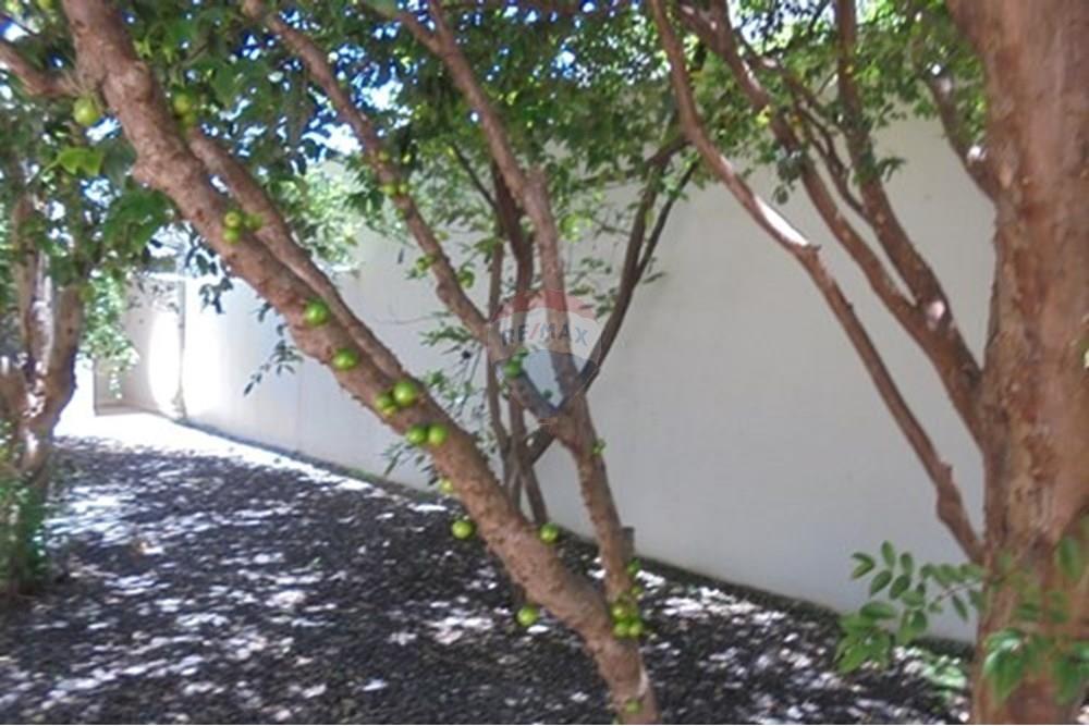 Casa - Venda - Americana , São Paulo - IMG-20250620-WA0032.jpg - 691071001-24