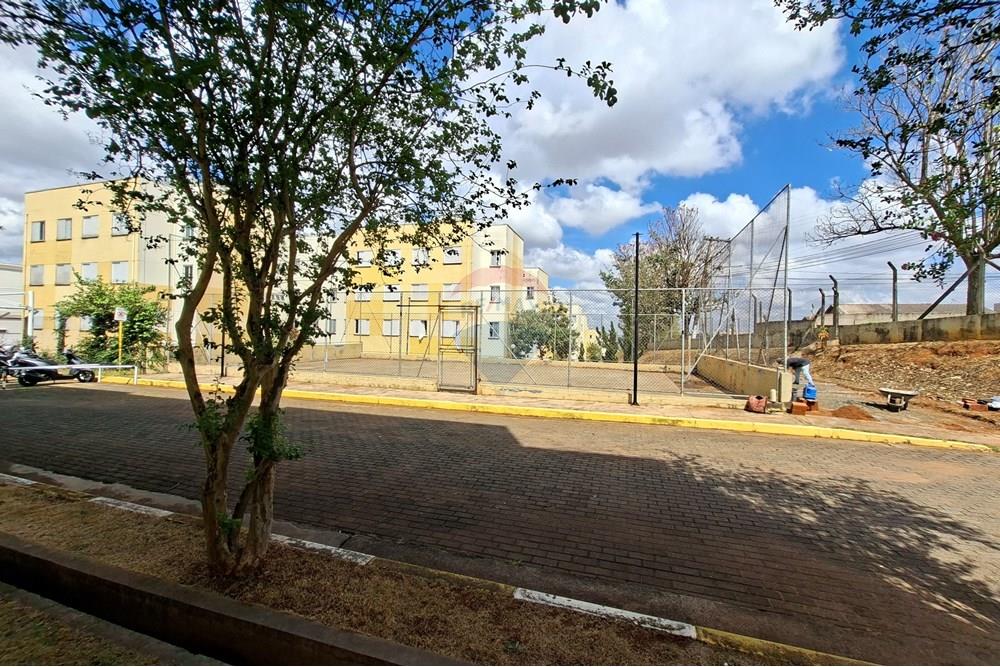 Apartamento - Venda - Mogi Mirim , São Paulo - 20250923_101954.jpg - 690751049-97