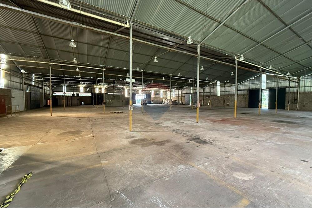 Industrial - Alugar - Mogi Mirim , São Paulo - WhatsApp Image 2025-05-13 at 15.29.55.jpeg - 690281011-305