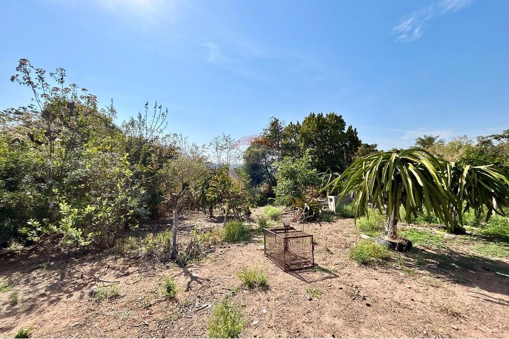 Terreno - Venda - Piracicaba , São Paulo - IMG_6454.JPG - 690781071-61