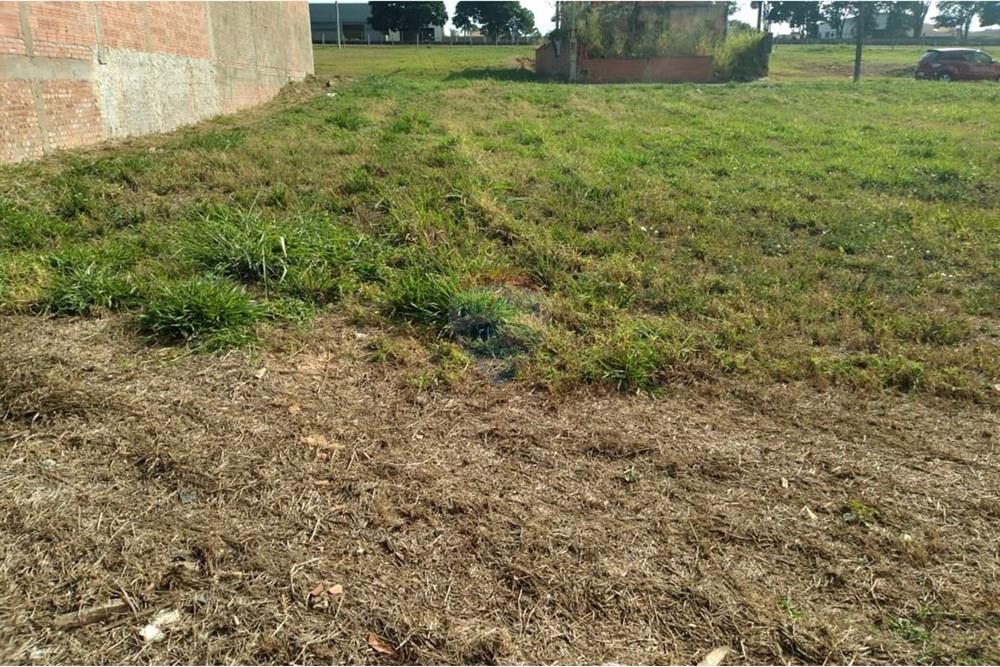 Terreno, 301 m² - Foto 6