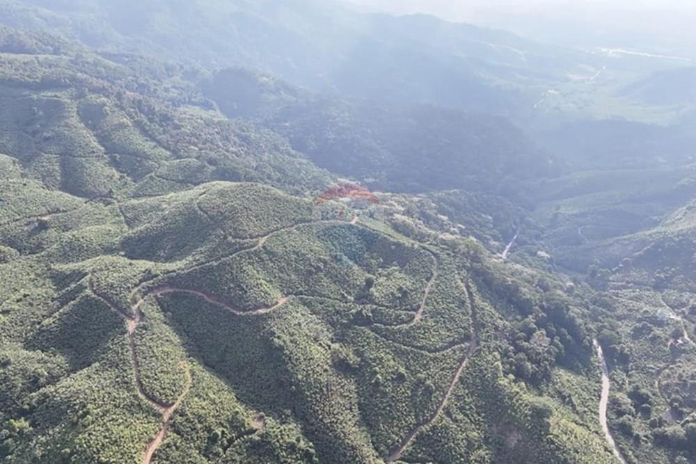 Fazenda - Venda - Miracatu , São Paulo - WhatsApp Image 2025-06-02 at 19.50.13.jpeg - 690061038-8