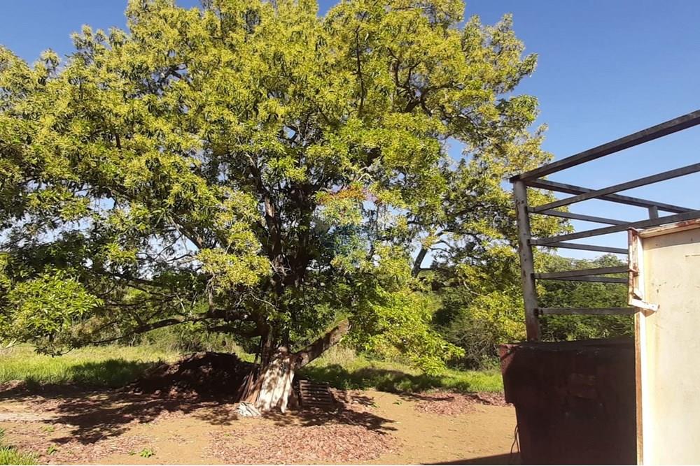 Restaurante - Alugar - Mogi Mirim , São Paulo - IMG-20250202-WA0119.jpg - 690751034-73