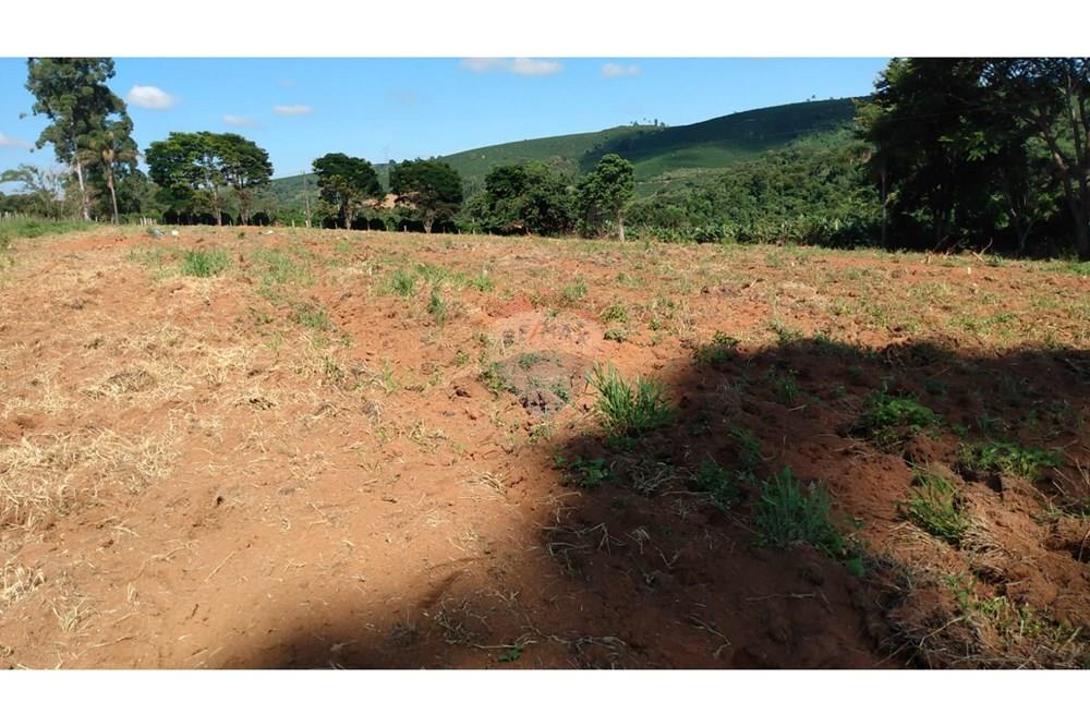 Fazenda - Venda - Campestre , Minas Gerais - ea9453b8-22b2-42d1-bde1-0c85bf9a2848.jpg - 690291077-77