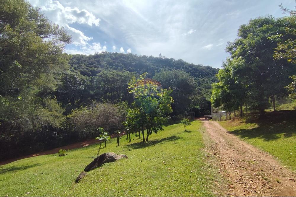 Chácara / Sítio / Fazenda - Venda - Itapira , São Paulo - 1751510168927.jpg - 690291077-251