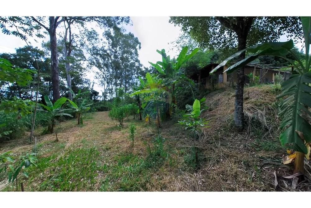 Chácara / Sítio / Fazenda - Venda - Araras , São Paulo - IMG_20250115_155444_00_368_PureShot.jpg - 690691016-236