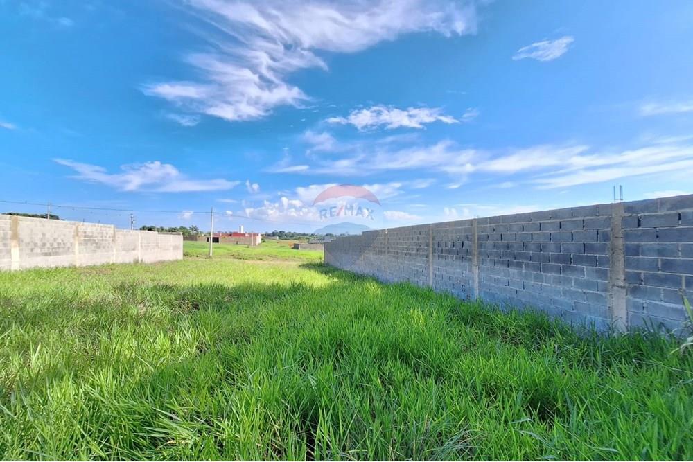 Terreno - Alugar - Mogi Mirim , São Paulo - IMG-20241208-WA0059.jpg - 690751048-95