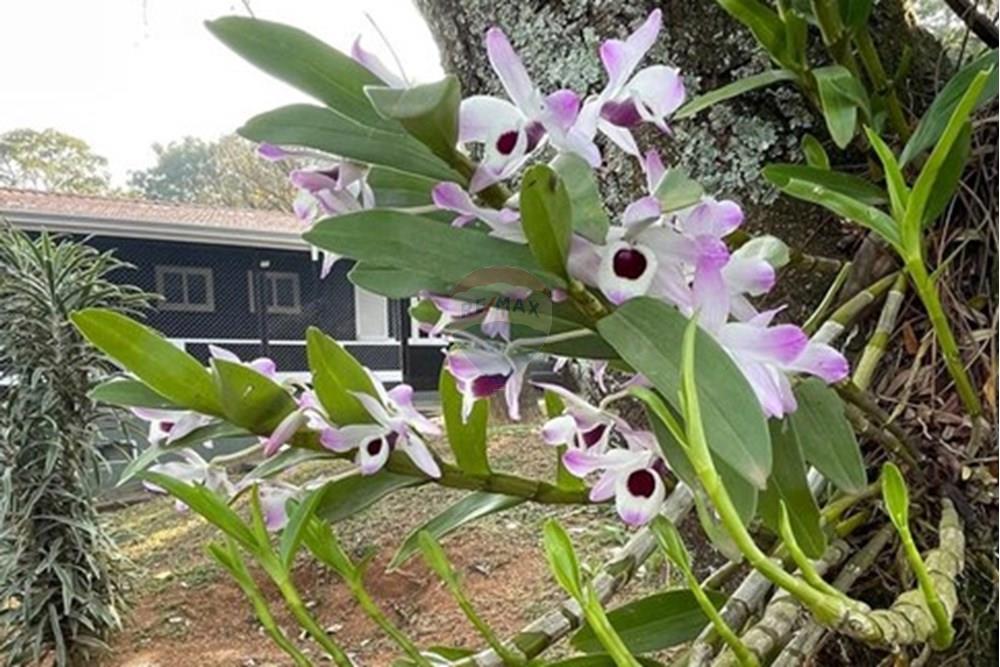 Chácara / Sítio / Fazenda - Venda - Jarinu , São Paulo - WhatsApp Image 2025-05-06 at 17.27.40 (2).jpeg - 690661027-107