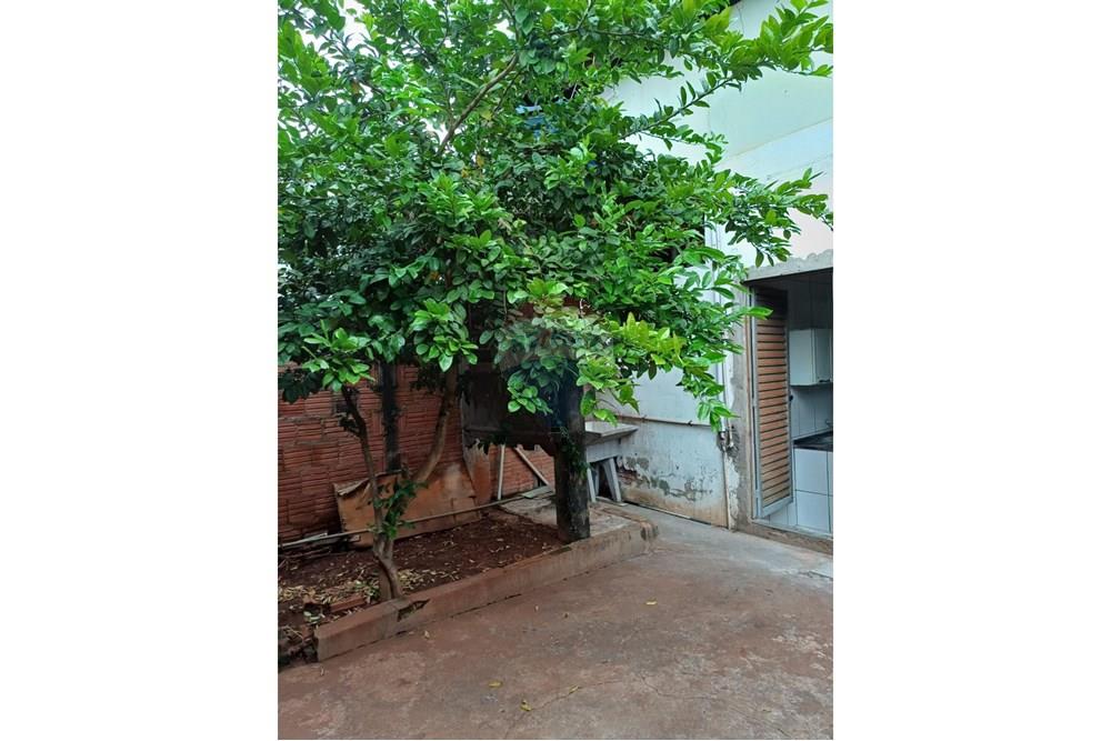 Ponto Comercial/ Loja - Alugar - Piracicaba , São Paulo - Imagem do WhatsApp de 2025-01-26 à(s) 22.25.28_7a52e889.jpg - 690781131-54