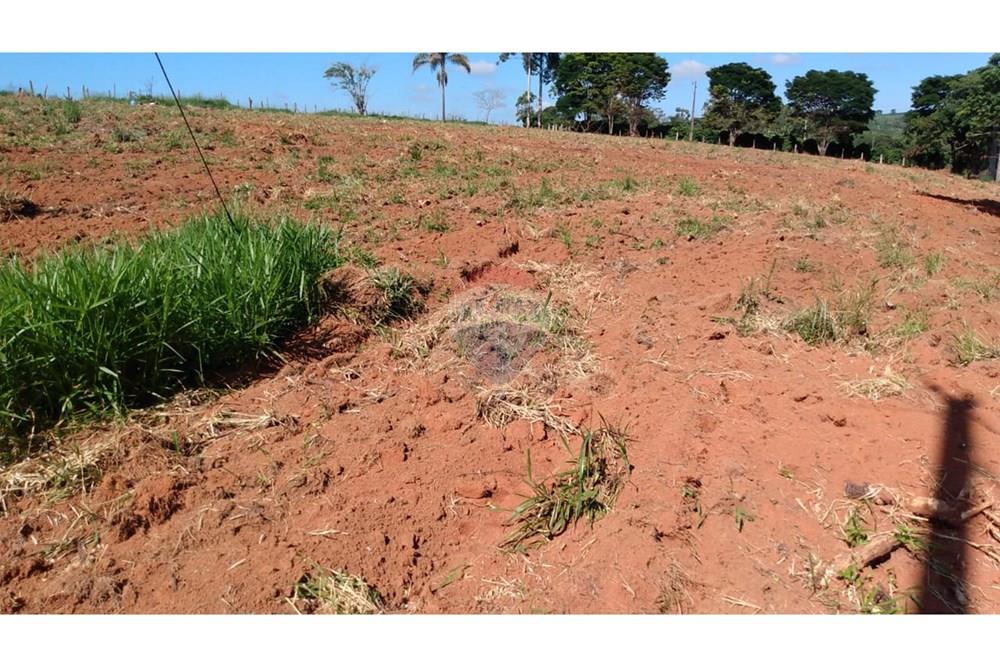 Fazenda - Venda - Campestre , Minas Gerais - 94697762-1095-4f39-ad1e-db16116945d2.jpg - 690291077-77