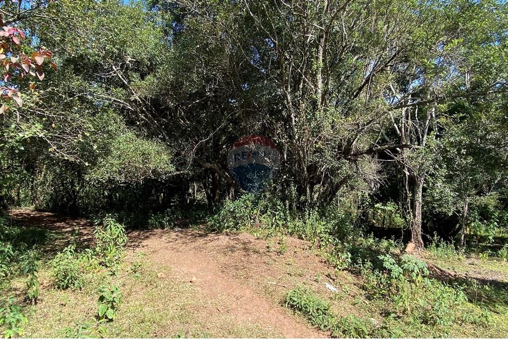 Chácara / Sítio / Fazenda - Venda - Jarinu , São Paulo - z7.JPEG - 691121002-11