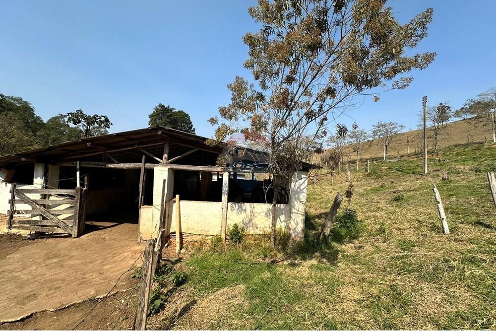 Chácara / Sítio / Fazenda - Venda - Joanópolis , São Paulo - WhatsApp Image 2024-08-08 at 23.00.19 (1).jpeg - 690041107-19