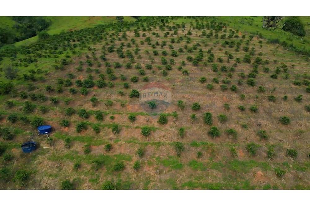 Chácara / Sítio / Fazenda - Venda - Lindóia , São Paulo - {2AFBBB37-96E9-4DA5-B7BB-A4A0BB9080F4}.jpeg - 690291077-223