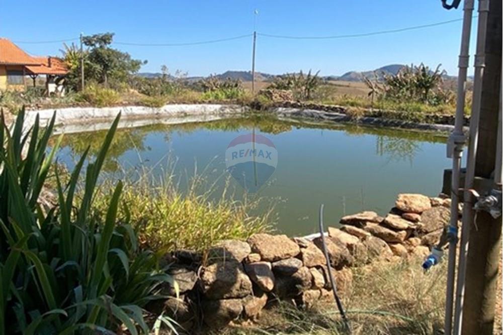 Chácara / Sítio / Fazenda - Venda - Monte Sião , Minas Gerais - WhatsApp Image 2025-07-18 at 18.06.51 (1).jpeg - Jardim Externo - 690291077-219