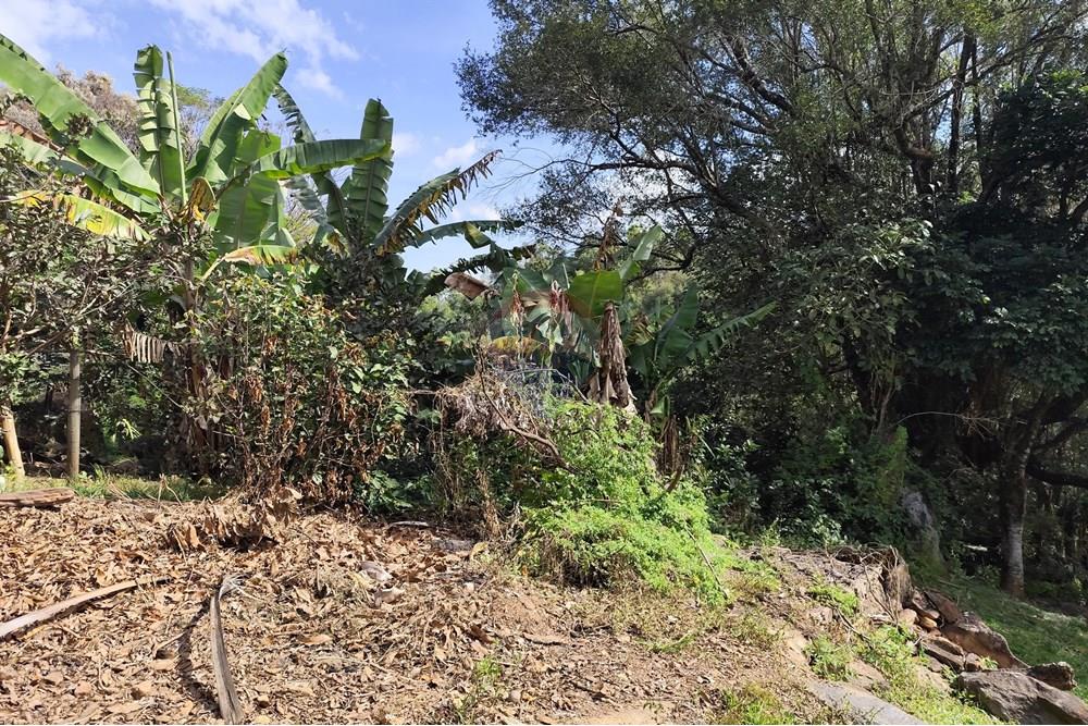 Chácara / Sítio / Fazenda - Venda - Itapira , São Paulo - 1751510168941.jpg - 690291077-251