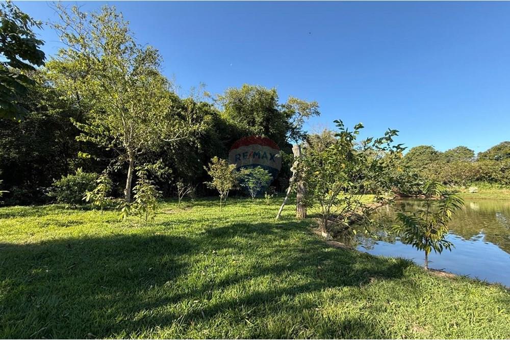 Chácara / Sítio / Fazenda - Venda - Itapira , São Paulo - WhatsApp Image 2025-06-03 at 18.53.15 (1).jpeg - 690521014-122