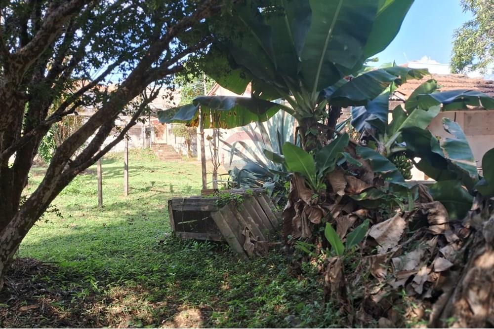 Terreno - Venda - Mogi Mirim , São Paulo - terr 10.jpeg - 690751036-49