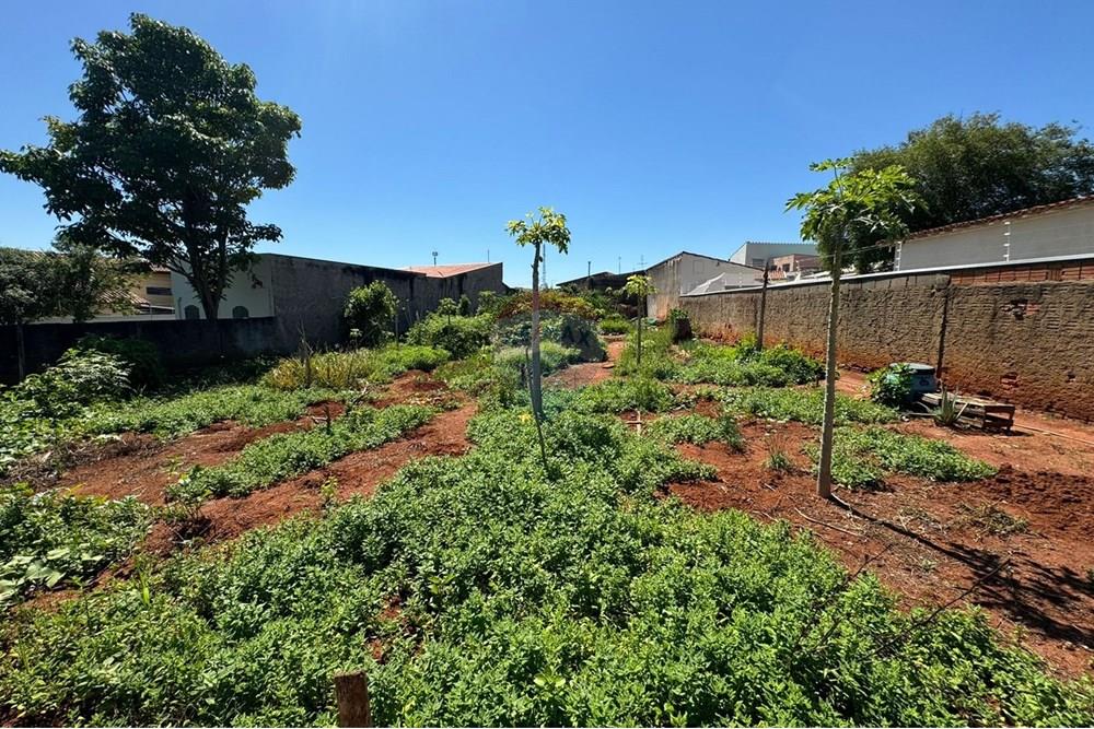 Terreno - Venda - Campinas , São Paulo - WhatsApp Image 2024-11-19 at 15.53.28 (2).jpeg - 690331010-32