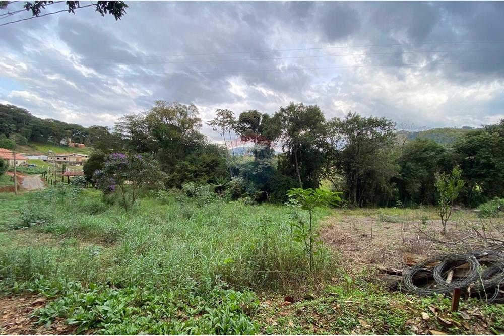 Terreno - Venda - Socorro , São Paulo - IMG-20250713-WA0549.jpg - 690291077-224