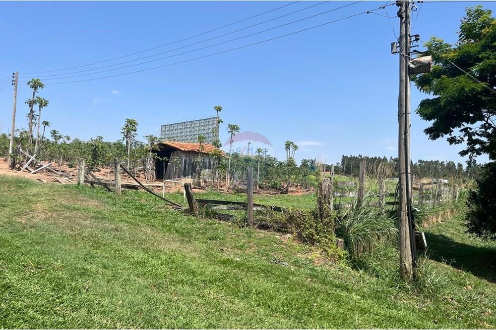 Chácara / Sítio / Fazenda - Venda - Valinhos , São Paulo - WhatsApp Image 2025-10-27 at 09.33.48 (3).jpeg - 691181004-89