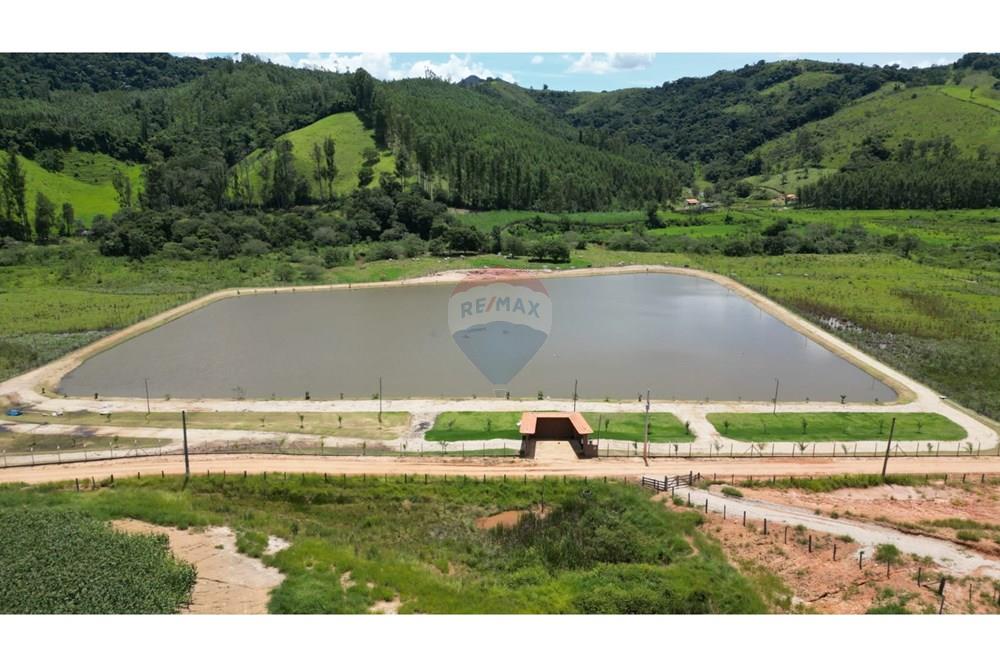 Chácara / Sítio / Fazenda - Venda - Monte Sião , Minas Gerais - IMG-20250226-WA0205.jpg - 690291077-225