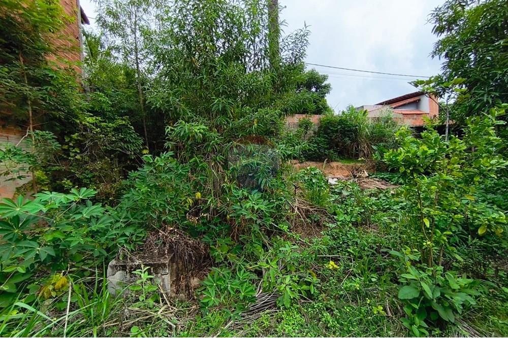 Terreno - Venda - Mogi Guaçu , São Paulo - WhatsApp Image 2025-04-25 at 17.30.51.jpeg - 690521018-181