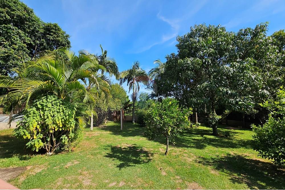 Chácara / Sítio / Fazenda - Venda - Itapira , São Paulo - 20250125_085815.jpg - Quintal - 690291048-74