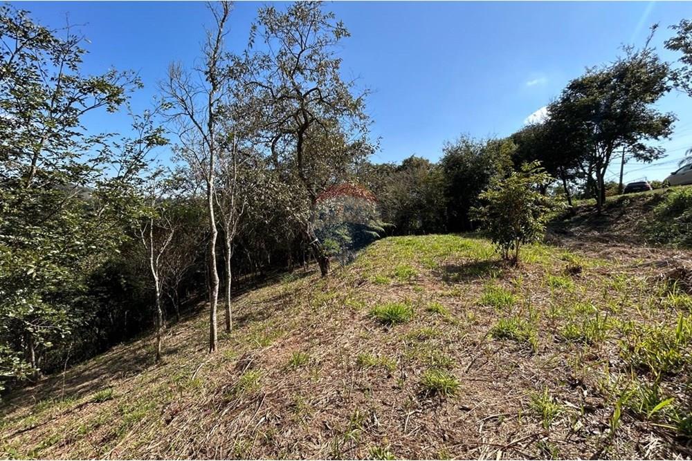 Terreno - Venda - Jarinu , São Paulo - IMG-20250819-WA0016.jpg - 690661027-137