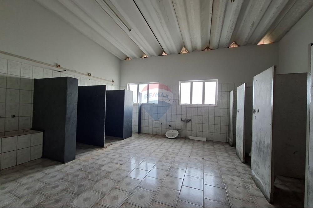 Galpão - Alugar - Mogi Mirim , São Paulo - 20251028_153529.jpg - 690751049-275