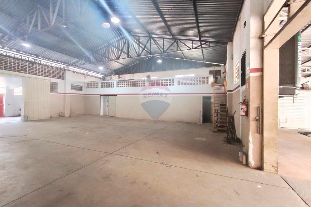 Galpão - Alugar - Mogi Mirim , São Paulo - MVIMG_20251009_133646~2.jpg - 690751092-20