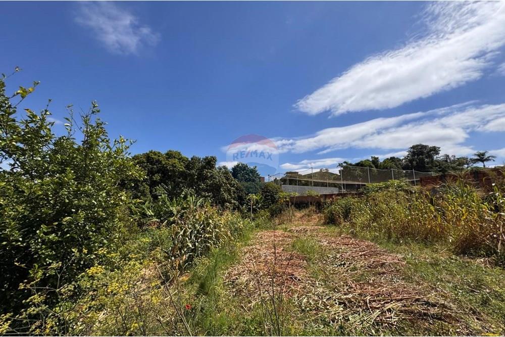 Chácara / Sítio / Fazenda - Venda - Capivari , São Paulo - foto 15.jpg - 690091006-483