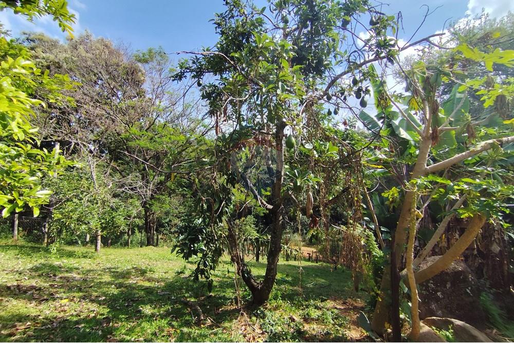 Chácara / Sítio / Fazenda - Venda - Itapira , São Paulo - 1751510168896.jpg - 690291077-251