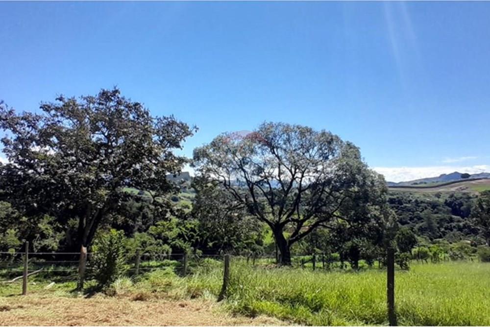 Terreno - Venda - Socorro , São Paulo - 6eab695b-6ada-4a8b-8e92-e77e3bd0b8dd.jpeg - 690041146-23