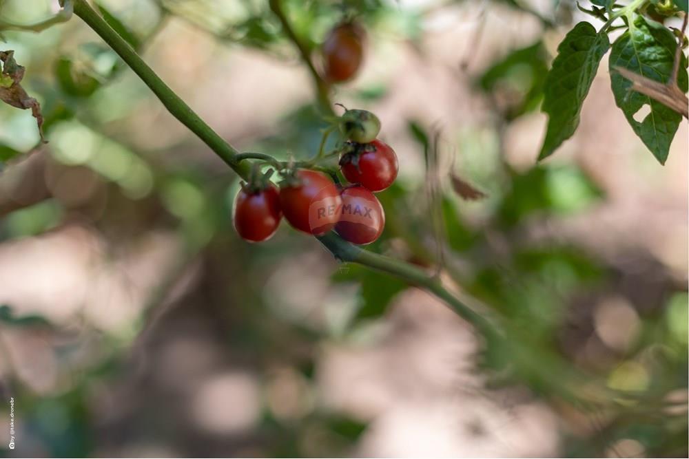 Casa de Condomínio - Venda - Campinas , São Paulo - TKD-5763.jpg - Quintal - 690681118-96