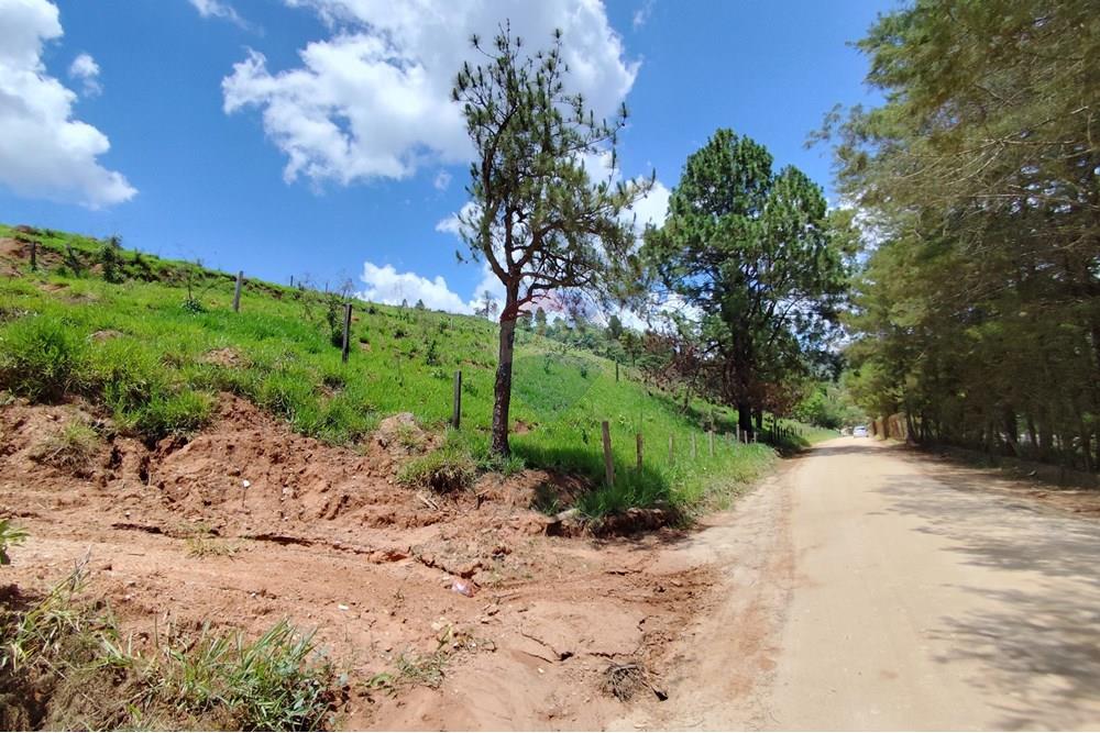 Terreno - Venda - Serra Negra , São Paulo - IMG_20241030_110813.jpg - 690291077-60