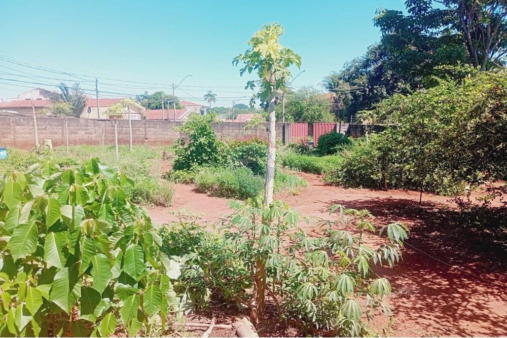 Terreno - Venda - Campinas , São Paulo - WhatsApp Image 2024-11-19 at 16.41.12.jpeg - 690331010-32