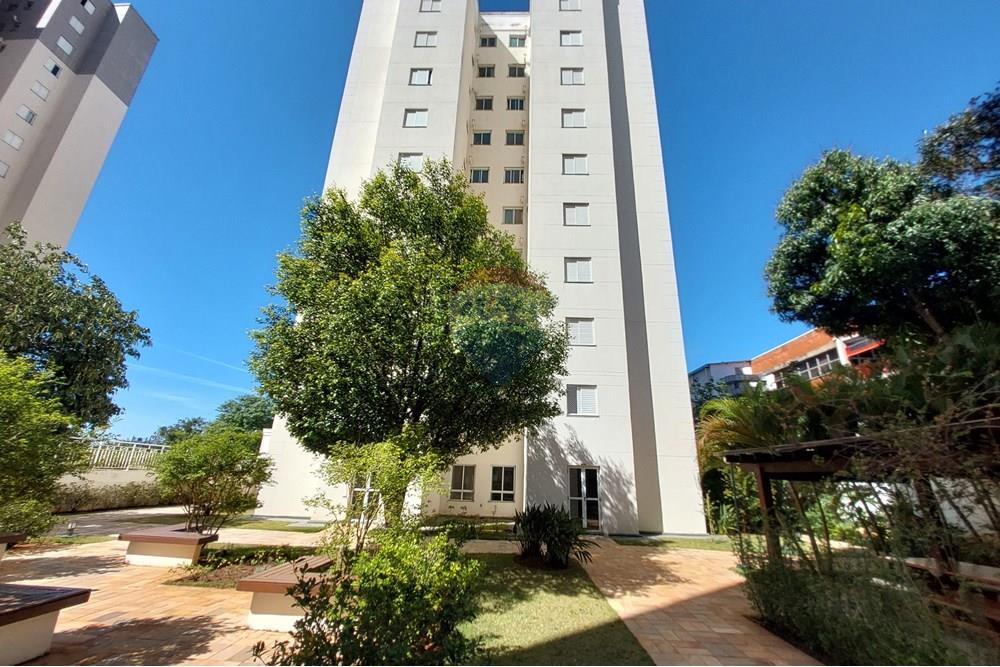 Apartamento - Venda - Campinas , São Paulo - 20250927_094348.jpg - 690181001-428